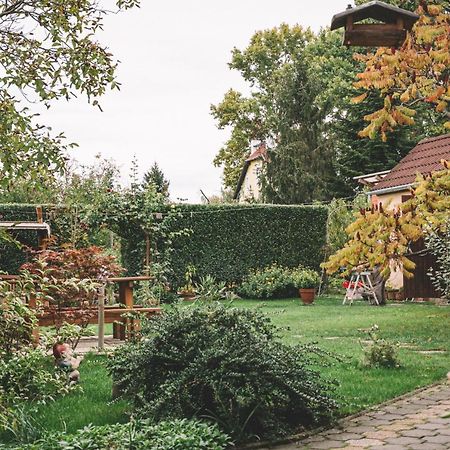 Pannonia Apartment Göd Dış mekan fotoğraf