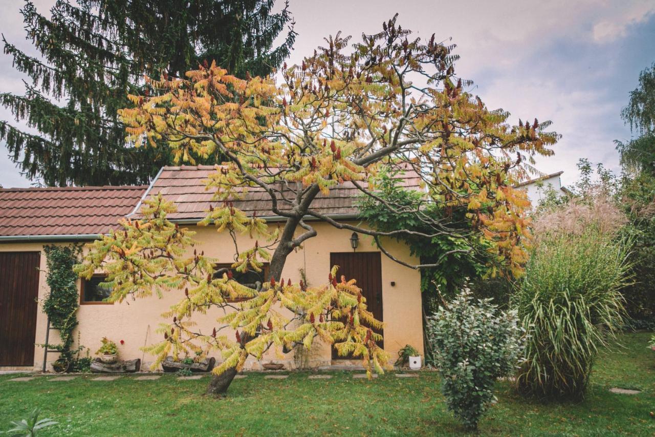 Pannonia Apartment Göd Dış mekan fotoğraf